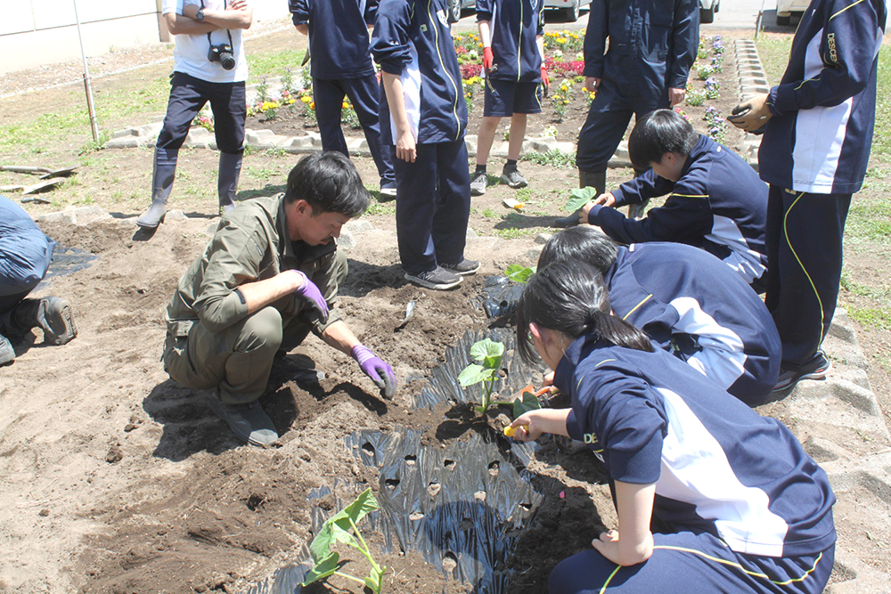 実際に植え付け作業を行う様子